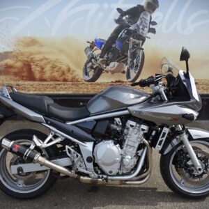 Suzuki Bandit GSF650SA