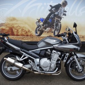 Suzuki Bandit 650
