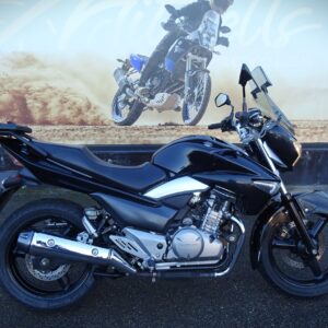 Suzuki Inazuma GW 250 L3